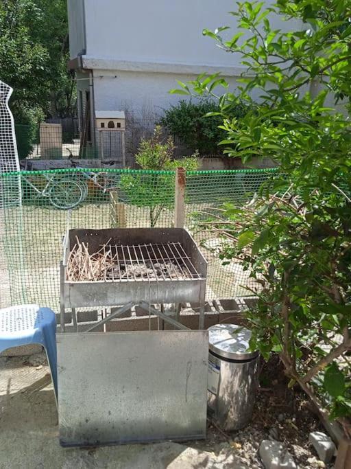 דירות אקרנאי Το Μικρό Σπίτι Στη Φάρμα! מראה חיצוני תמונה