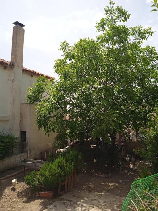 דירות אקרנאי Το Μικρό Σπίτι Στη Φάρμα! מראה חיצוני תמונה