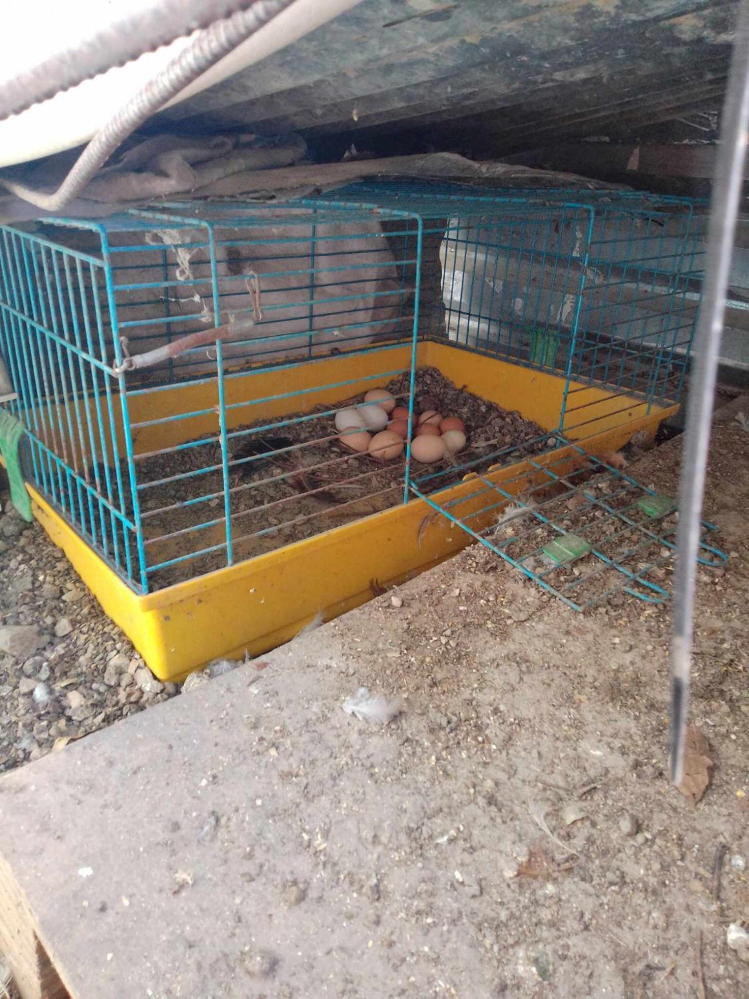 דירות אקרנאי Το Μικρό Σπίτι Στη Φάρμα! מראה חיצוני תמונה